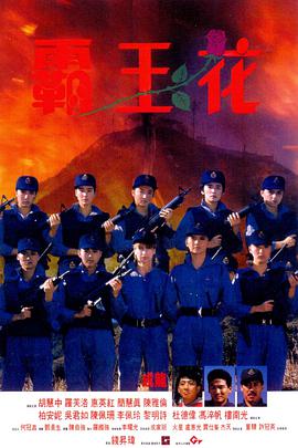 霸王花(国语版)_剧情解析_博雅电影-评影网